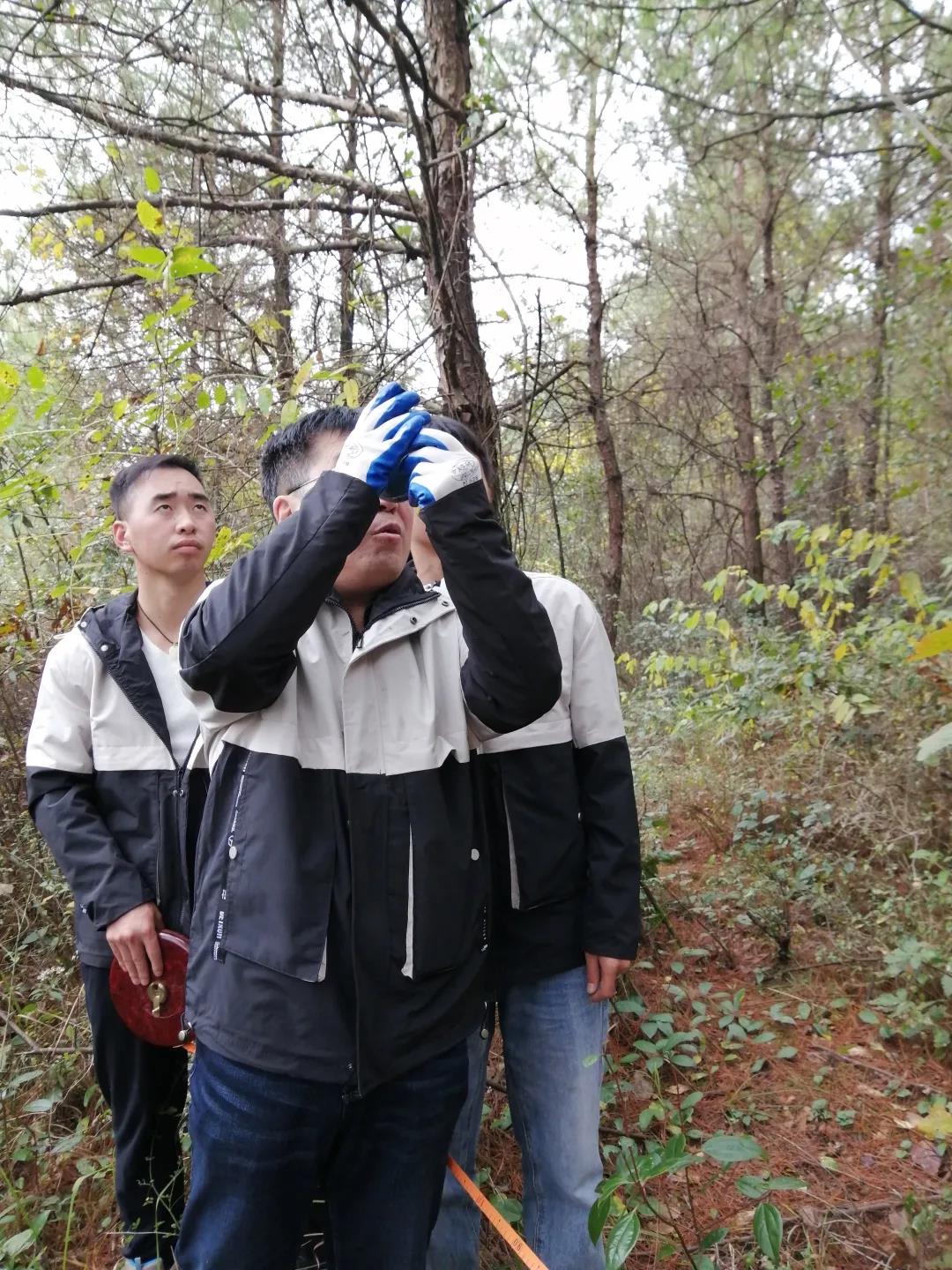 清研團隊全面助力銅仁市碧江區(qū)森林火災風險普查工作開展