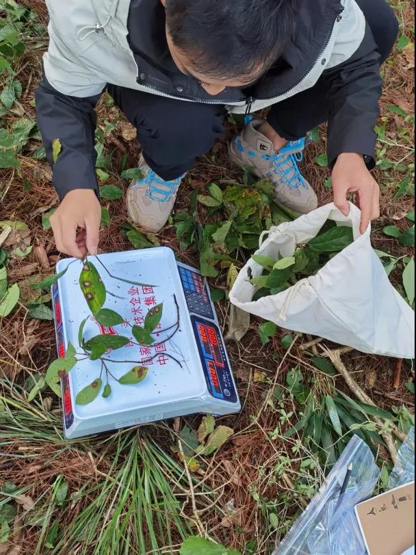 清研團隊全面助力銅仁市碧江區(qū)森林火災風險普查工作開展