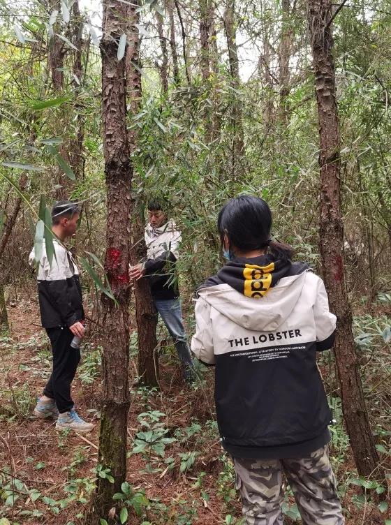 清研團隊全面助力銅仁市碧江區(qū)森林火災風險普查工作開展