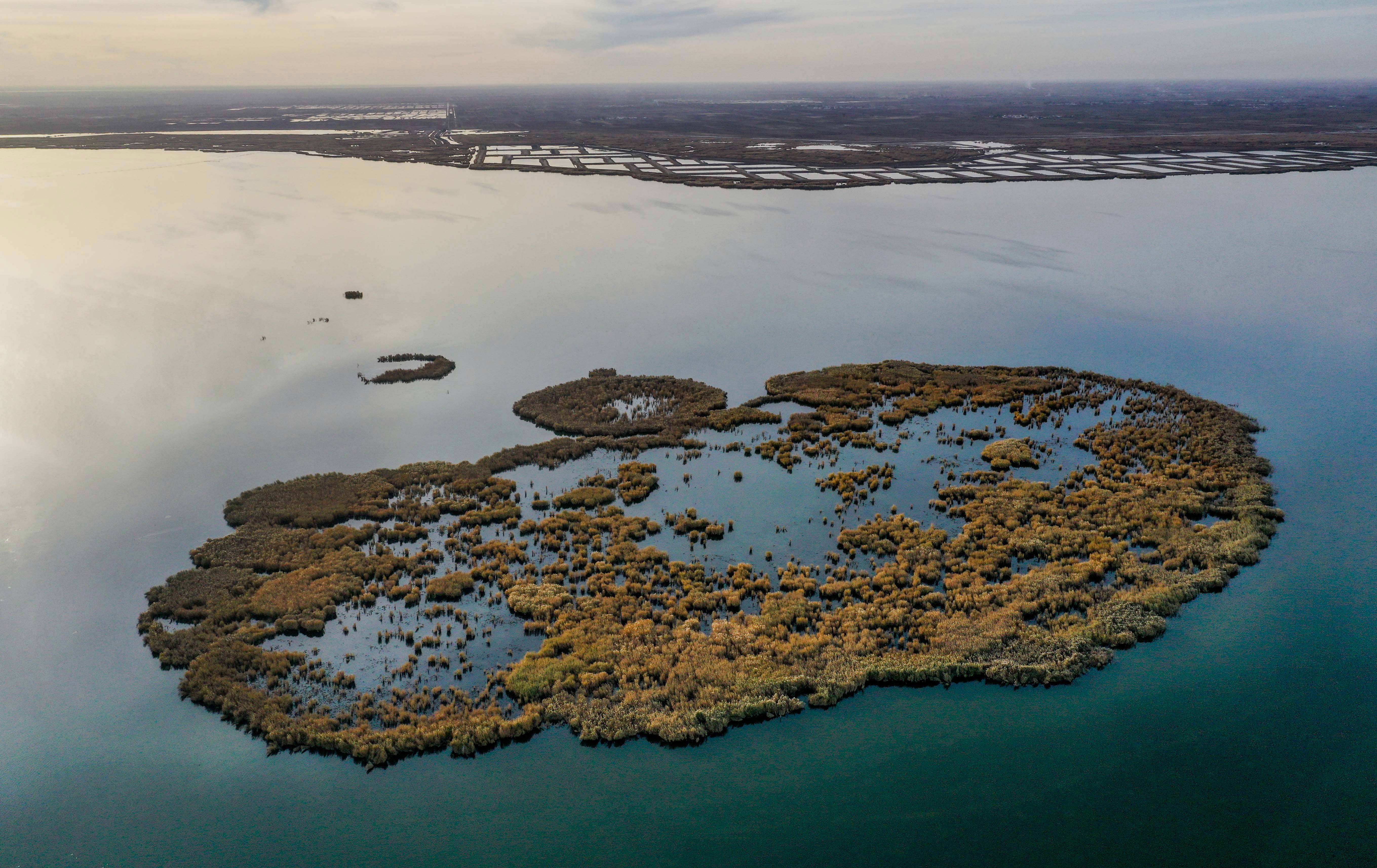 清研智談 | 黃河流域水污染的“防”與“治”