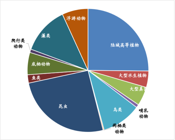 清研智談 | 生物多樣性“家底”調查