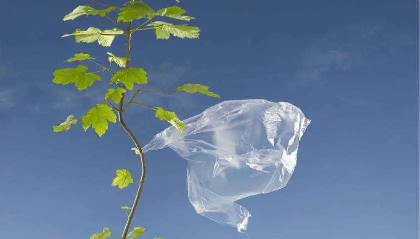 清研智談 | 南京市塑料污染治理現(xiàn)狀及建議