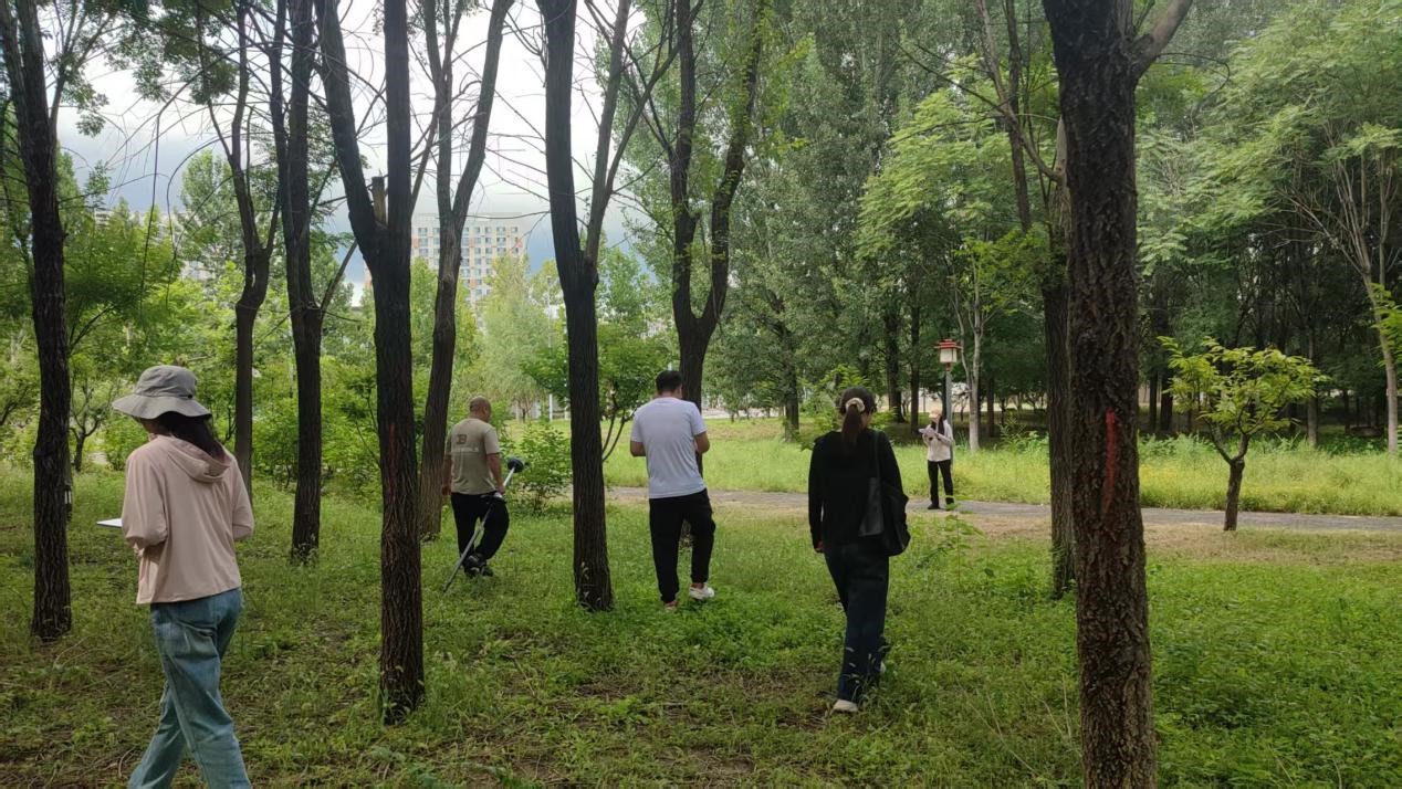 清研集團助力平谷區高效完成第十次園林綠化資源專項調查