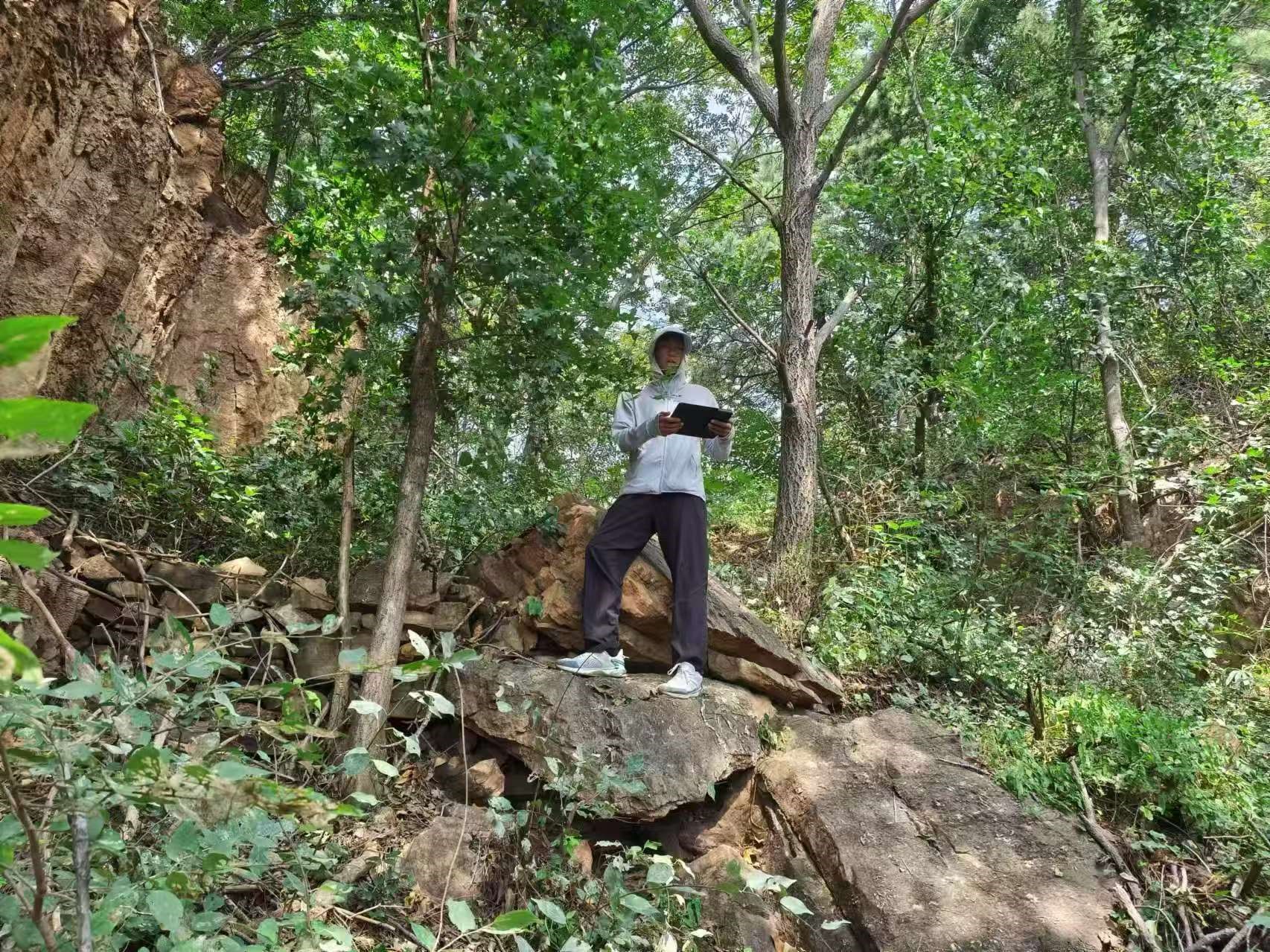 清研集團助力平谷區高效完成第十次園林綠化資源專項調查