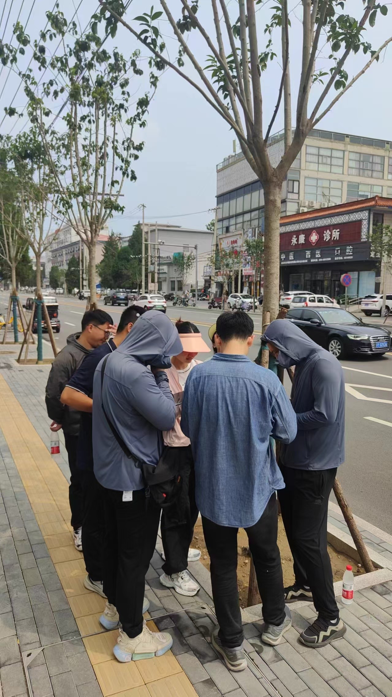 清研集團助力平谷區高效完成第十次園林綠化資源專項調查