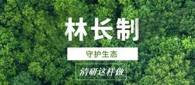 構建林長制全維度服務體系，賦能林草事業高質量發展